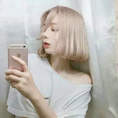 模范家族